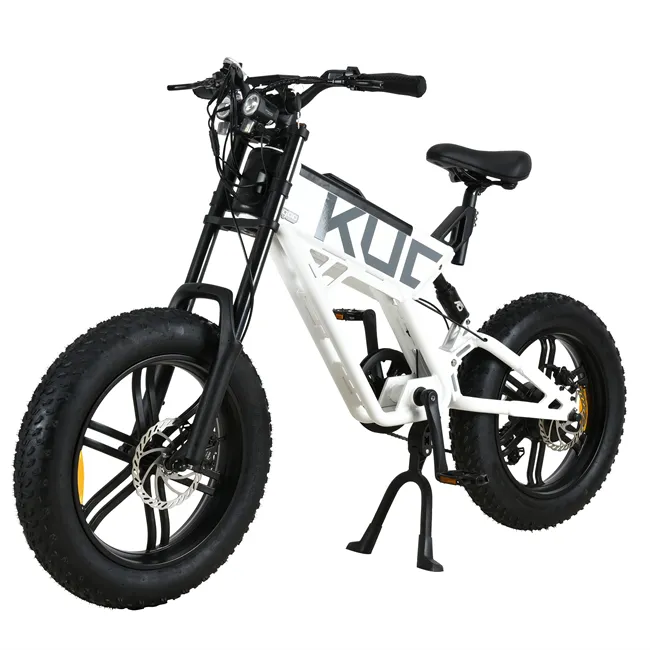 750W Off Road Electric Bike